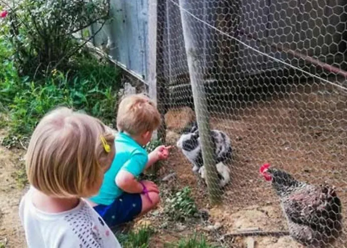 אתר קמפינג Toile Avec Terrasse Pour 4 A - Api-1-52-1505 Martiel