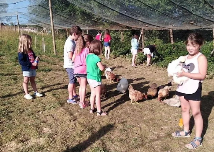 Toile Avec Terrasse Pour 4 A - Api-1-52-1505 אתר קמפינג *