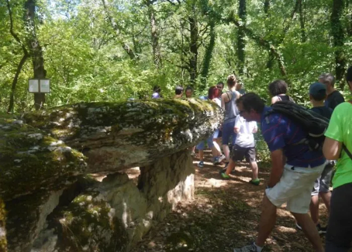 Toile Avec Terrasse Pour 4 A - Api-1-52-1505 אתר קמפינג *