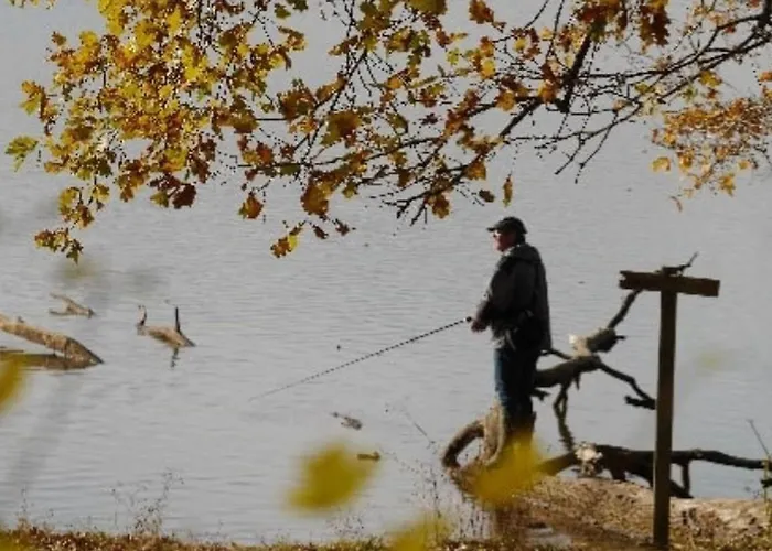 אתר קמפינג Toile Avec Terrasse Pour 4 A - Api-1-52-1505 *