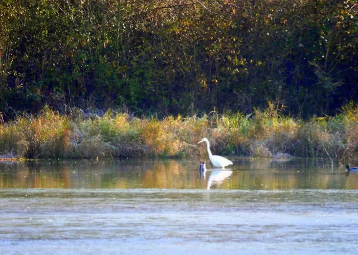 Toile Avec Terrasse Pour 4 A - Api-1-52-1505 *
